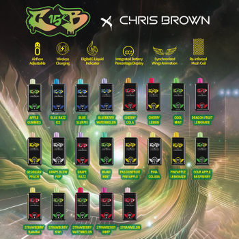 CHRIS BROWN DISPOSABLE 15K PUFFS WITH WIRELESS CHARGING 5CT/DISPOSABLE
